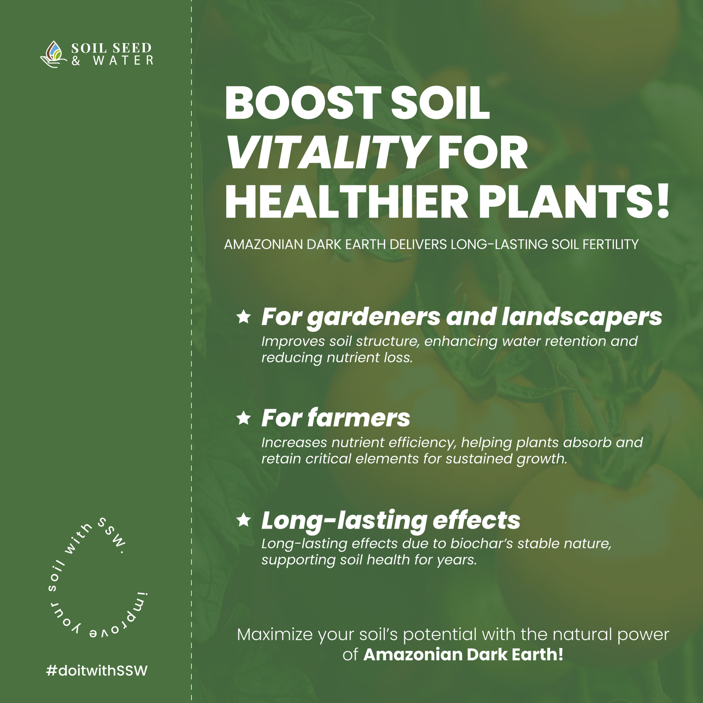Amazonian Dark Earth Biochar & Minerals Organic Soil Amendment Fertilizer