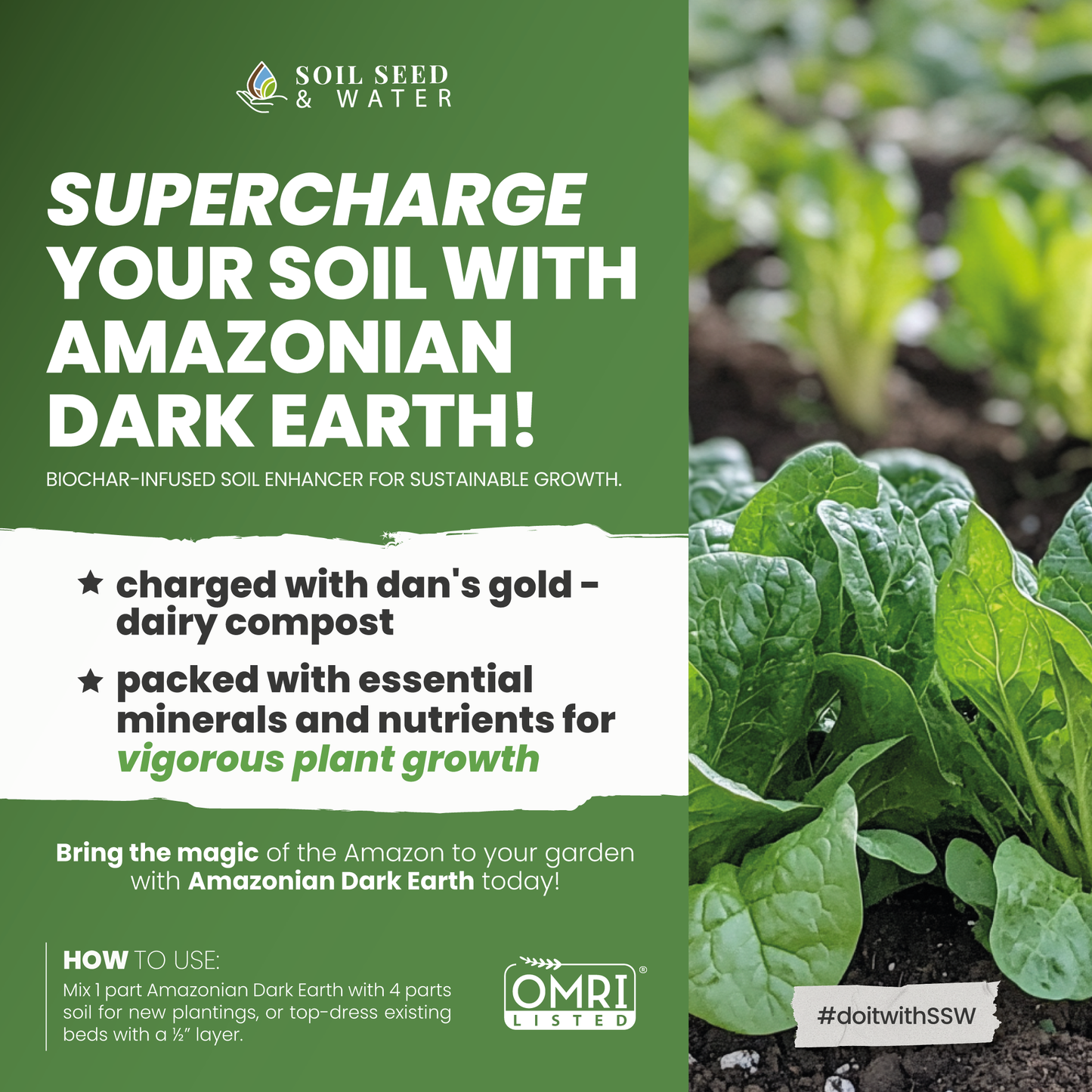 Amazonian Dark Earth Organic Soil Amendment Fertilizer Biochar & Minerals