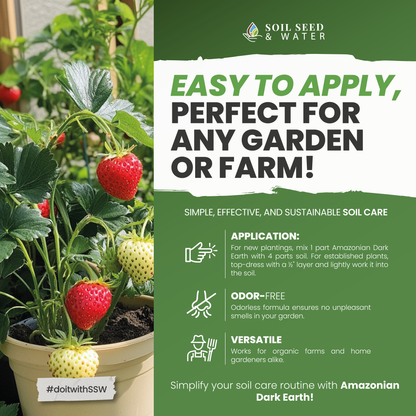 Amazonian Dark Earth Organic Soil Amendment Fertilizer Biochar & Minerals