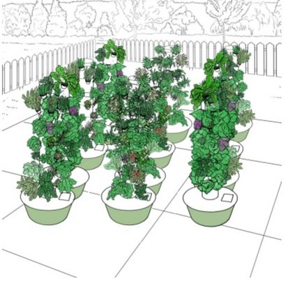 Community Tower Garden