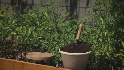 Mikey's Worm Poop Organic Dairy Vermicompost Worm Castings